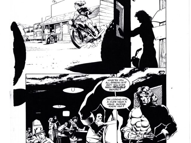 Malibu Comics Archive: Hard Case Original Art
